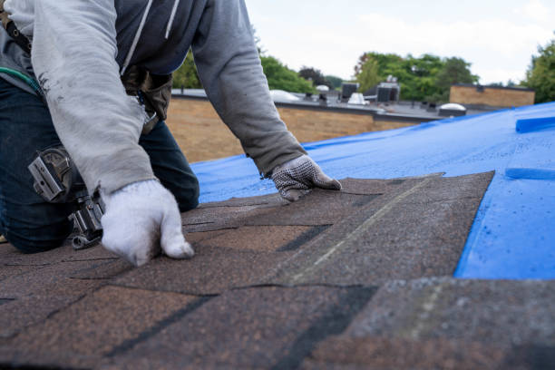 Best Roof Gutter Cleaning  in Ashland, VA